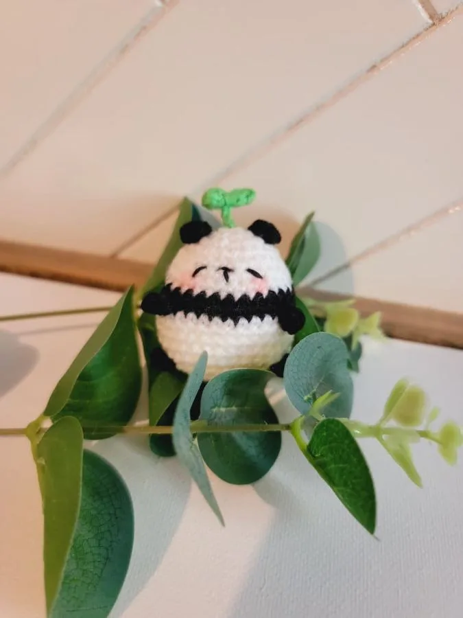 PANDA - Fotografía 1